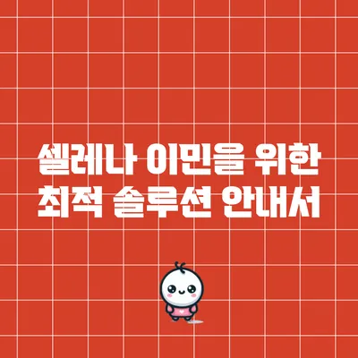 셀레나 이민을 위한 최적 솔루션 안내서