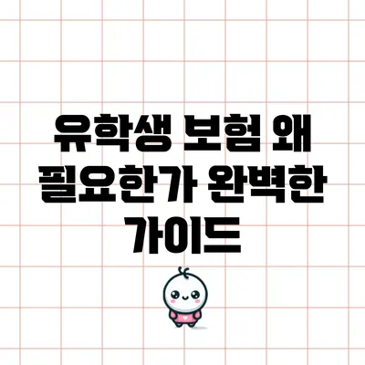 유학생 보험: 왜 필요한가? 완벽한 가이드