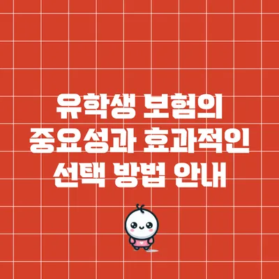 유학생 보험의 중요성과 효과적인 선택 방법 안내