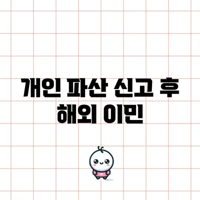 개인 파산 신고 후 해외 이민