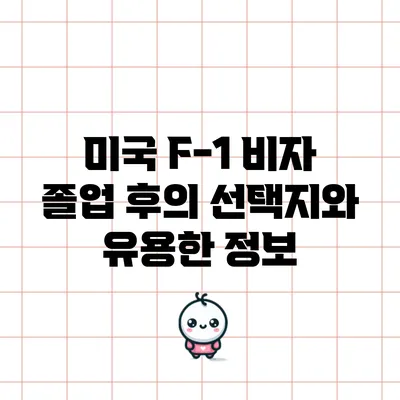 미국 F-1 비자 졸업 후의 선택지와 유용한 정보