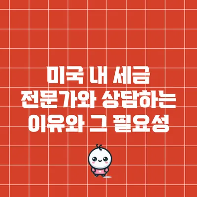 미국 내 세금 전문가와 상담하는 이유와 그 필요성