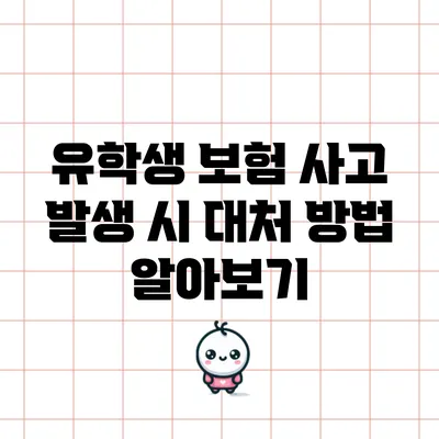 유학생 보험: 사고 발생 시 대처 방법 알아보기