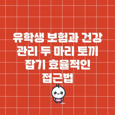 유학생 보험과 건강 관리 두 마리 토끼 잡기: 효율적인 접근법