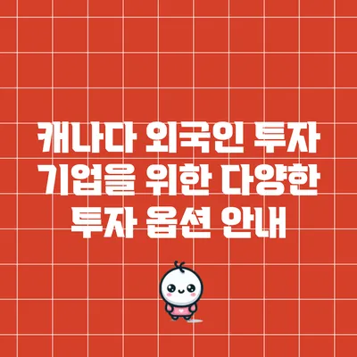 캐나다 외국인 투자 기업을 위한 다양한 투자 옵션 안내