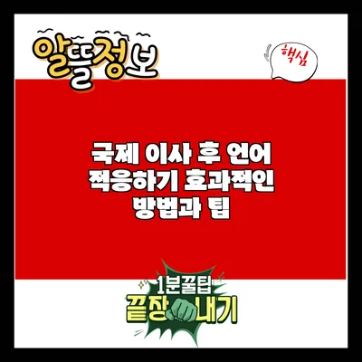국제 이사 후 언어 적응하기: 효과적인 방법과 팁