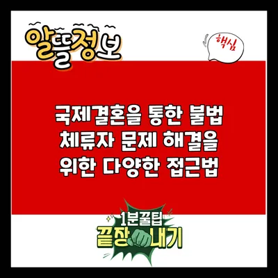 국제결혼을 통한 불법 체류자 문제 해결을 위한 다양한 접근법
