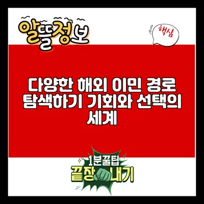 다양한 해외 이민 경로 탐색하기: 기회와 선택의 세계