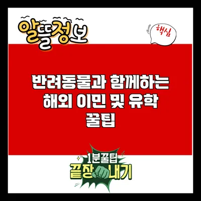 반려동물과 함께하는 해외 이민 및 유학 꿀팁