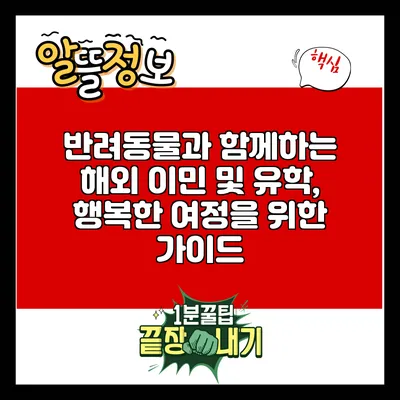 반려동물과 함께하는 해외 이민 및 유학, 행복한 여정을 위한 가이드