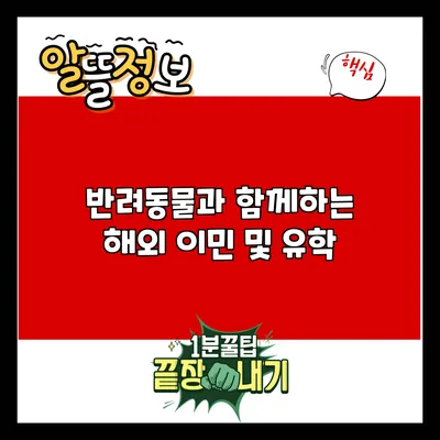 반려동물과 함께하는 해외 이민 및 유학