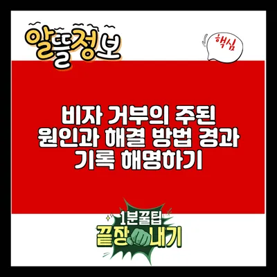 비자 거부의 주된 원인과 해결 방법: 경과 기록 해명하기