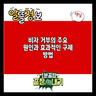 비자 거부의 주요 원인과 효과적인 구제 방법