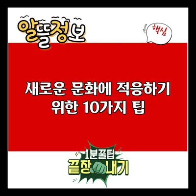 새로운 문화에 적응하기 위한 10가지 팁
