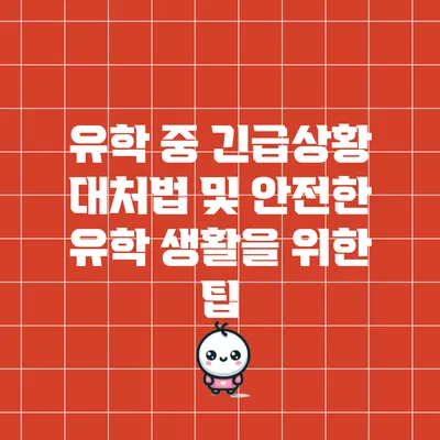 유학 중 긴급상황 대처법 및 안전한 유학 생활을 위한 팁