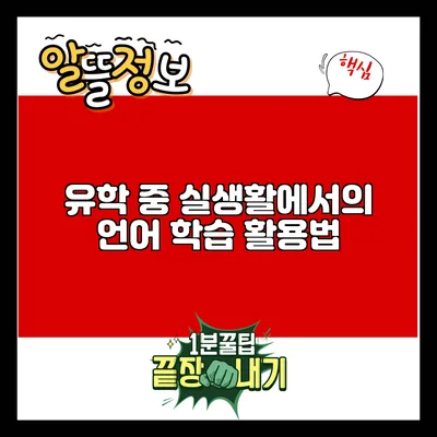 유학 중 실생활에서의 언어 학습 활용법