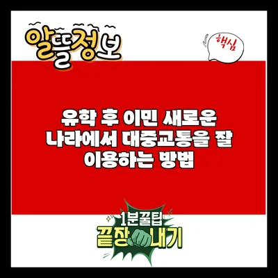 유학 후 이민: 새로운 나라에서 대중교통을 잘 이용하는 방법