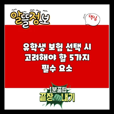 유학생 보험 선택 시 고려해야 할 5가지 필수 요소