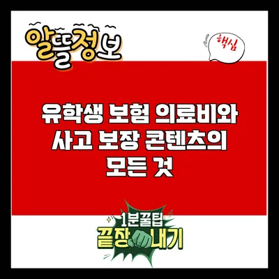 유학생 보험: 의료비와 사고 보장 콘텐츠의 모든 것
