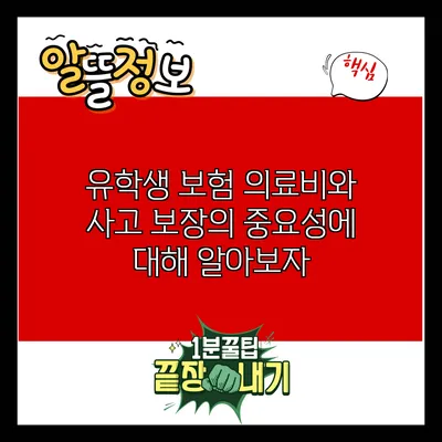 유학생 보험: 의료비와 사고 보장의 중요성에 대해 알아보자