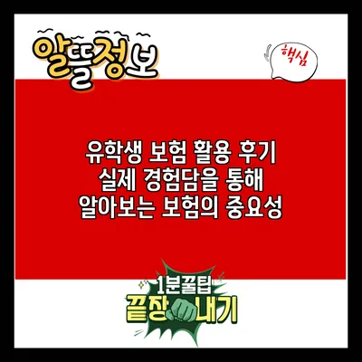 유학생 보험 활용 후기: 실제 경험담을 통해 알아보는 보험의 중요성