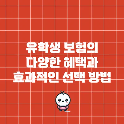 유학생 보험의 다양한 혜택과 효과적인 선택 방법