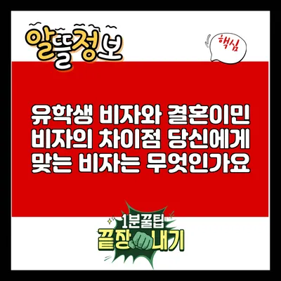 유학생 비자와 결혼이민 비자의 차이점: 당신에게 맞는 비자는 무엇인가요?