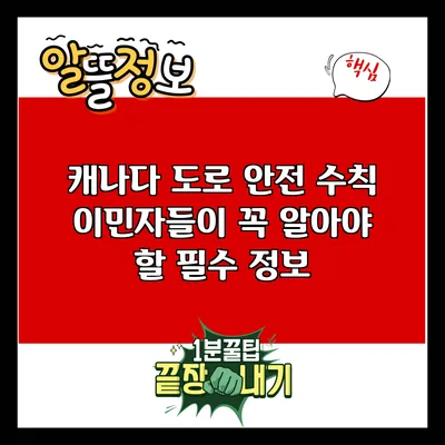 캐나다 도로 안전 수칙: 이민자들이 꼭 알아야 할 필수 정보