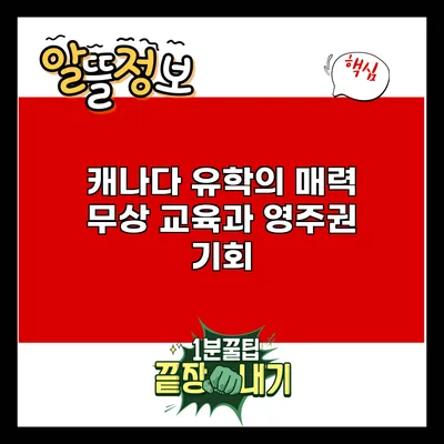 캐나다 유학의 매력: 무상 교육과 영주권 기회