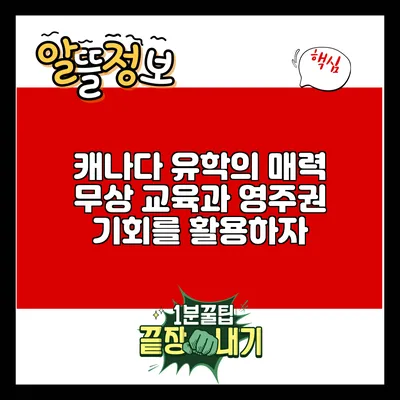 캐나다 유학의 매력: 무상 교육과 영주권 기회를 활용하자