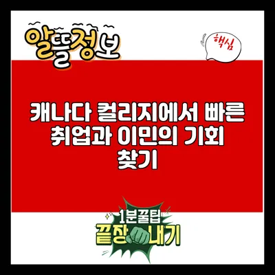 캐나다 컬리지에서 빠른 취업과 이민의 기회 찾기