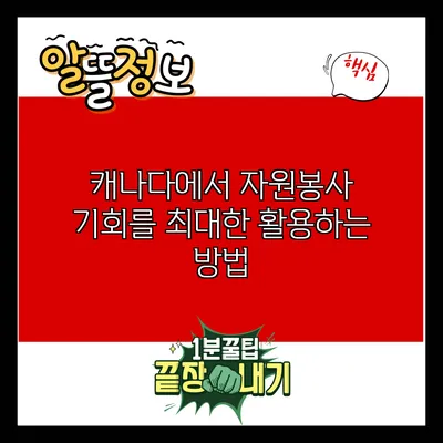 캐나다에서 자원봉사 기회를 최대한 활용하는 방법