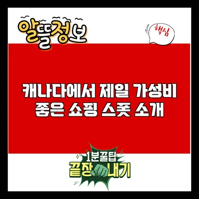 캐나다에서 제일 가성비 좋은 쇼핑 스폿 소개