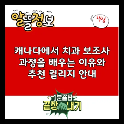캐나다에서 치과 보조사 과정을 배우는 이유와 추천 컬리지 안내