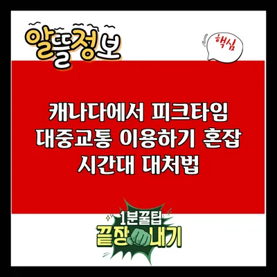 캐나다에서 피크타임 대중교통 이용하기: 혼잡 시간대 대처법