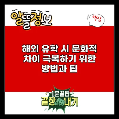 해외 유학 시 문화적 차이 극복하기 위한 방법과 팁