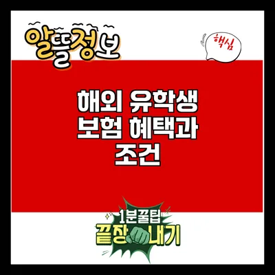 해외 유학생 보험: 혜택과 조건