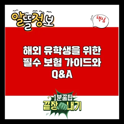 해외 유학생을 위한 필수 보험 가이드와 Q&A