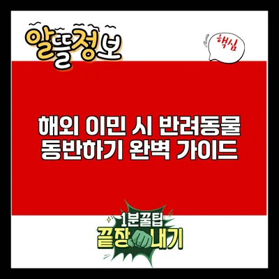 해외 이민 시 반려동물 동반하기: 완벽 가이드