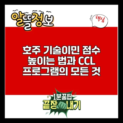 호주 기술이민 점수 높이는 법과 CCL 프로그램의 모든 것