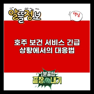 호주 보건 서비스: 긴급 상황에서의 대응법
