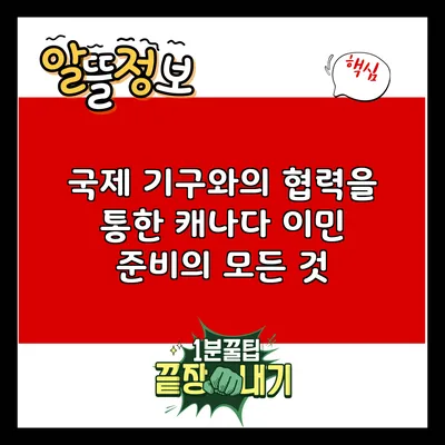 국제 기구와의 협력을 통한 캐나다 이민 준비의 모든 것
