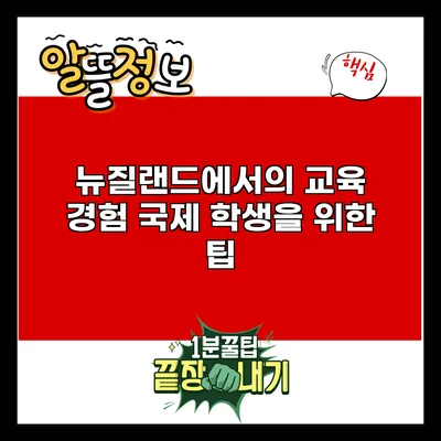 뉴질랜드에서의 교육 경험: 국제 학생을 위한 팁