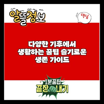 다양한 기후에서 생활하는 꿀팁: 슬기로운 생존 가이드