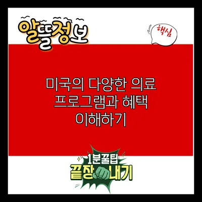 미국의 다양한 의료 프로그램과 혜택 이해하기