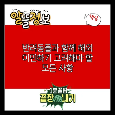 반려동물과 함께 해외 이민하기: 고려해야 할 모든 사항