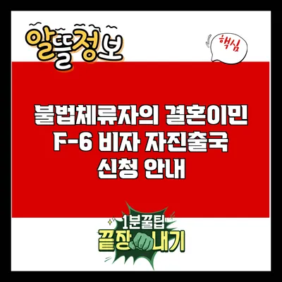 불법체류자의 결혼이민 F-6 비자 자진출국 신청 안내