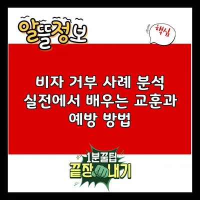 비자 거부 사례 분석: 실전에서 배우는 교훈과 예방 방법