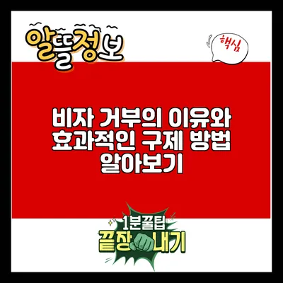 비자 거부의 이유와 효과적인 구제 방법 알아보기