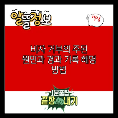 비자 거부의 주된 원인과 경과 기록 해명 방법